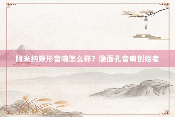 阿米纳隐形音响怎么样？隐面孔音响创始者
